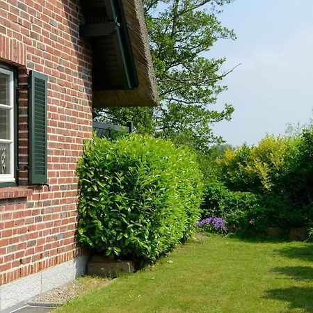 Wildrose Ferienhaus Больтенгаген Екстер'єр фото